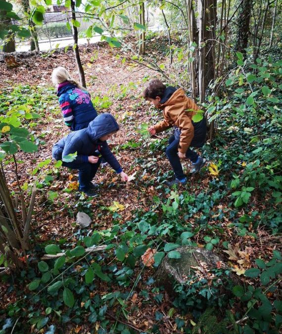 Waldbesuch der Erstklässler