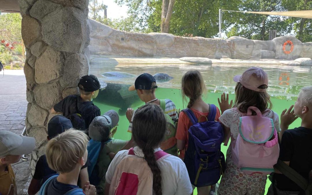 Ausflug in den Zoo Osnabrück