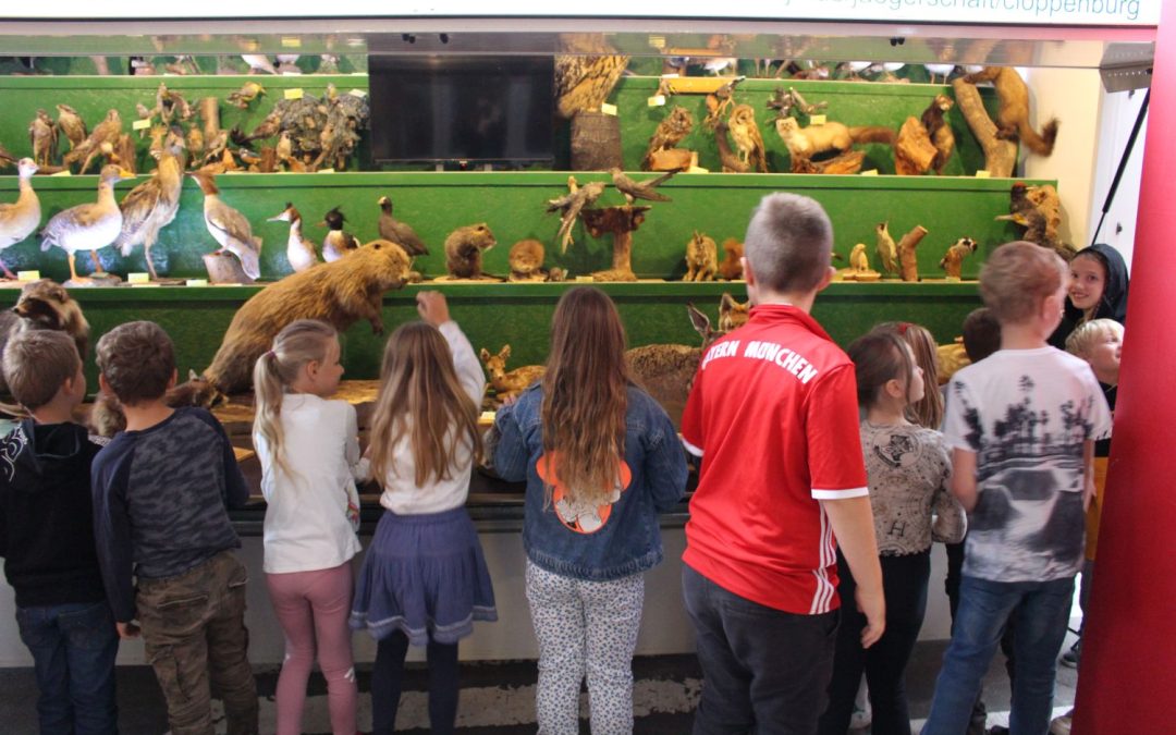 Rollende Waldschule zu Gast