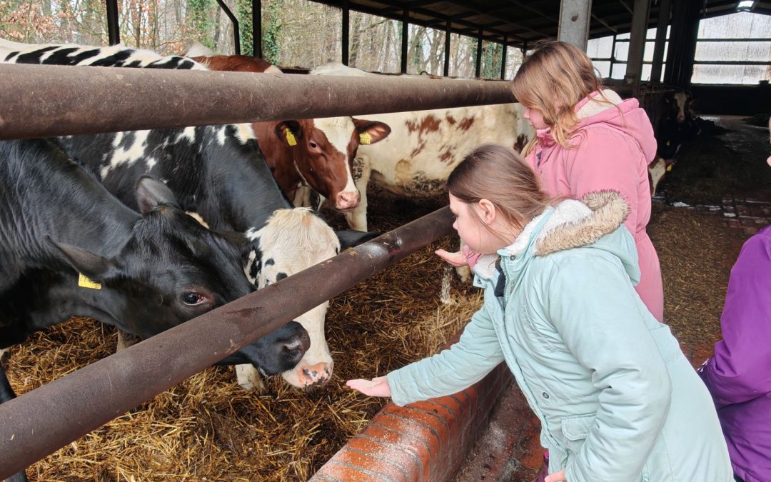 Unterwegs auf dem Biohof Bakenhus